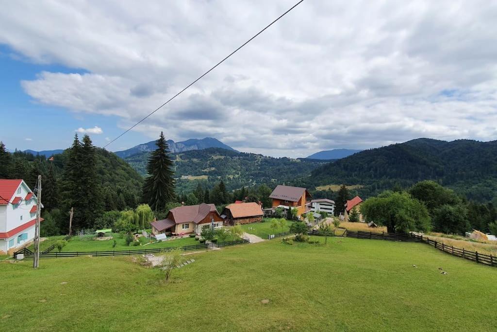 Chalet Dor De Munte Predeal Esterno foto