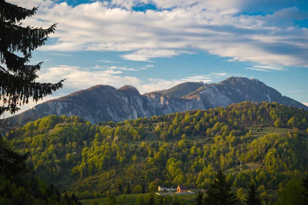 Chalet Dor De Munte Predeal Esterno foto